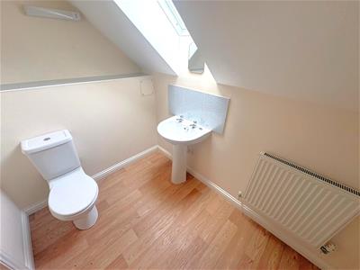 Picture 16